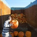 The Great Pumpkin Smash by kwind