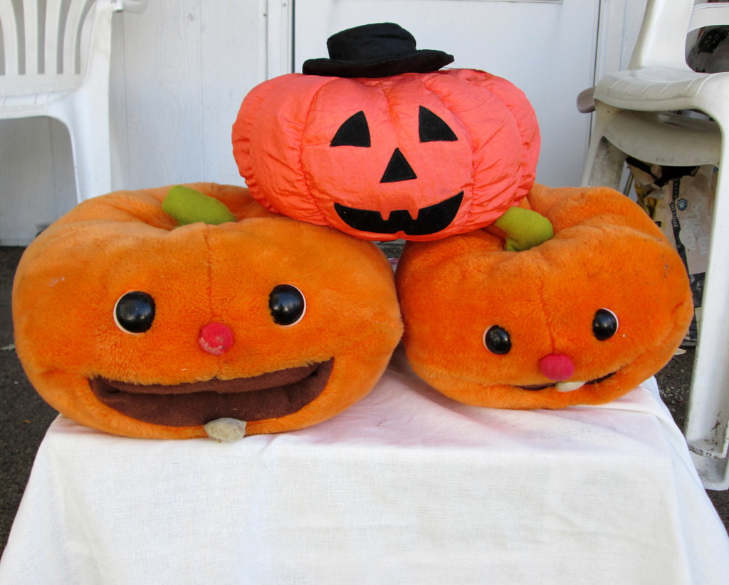 Pumpkins Realism by daisymiller