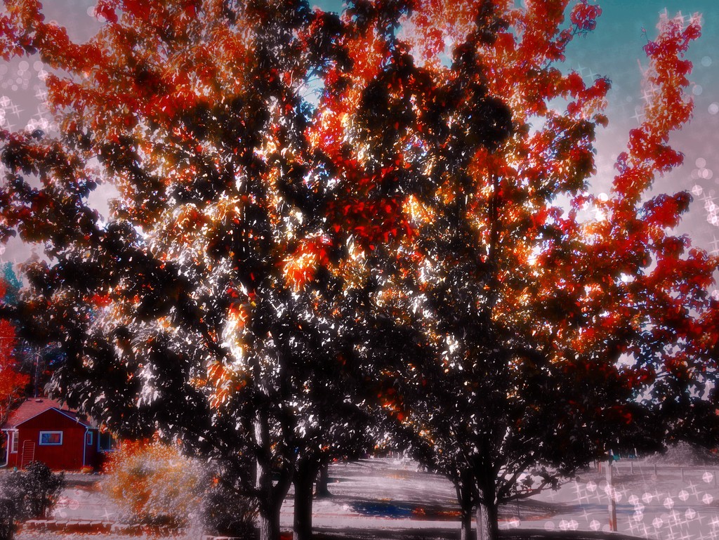 Eerie in Autumn by juliedduncan