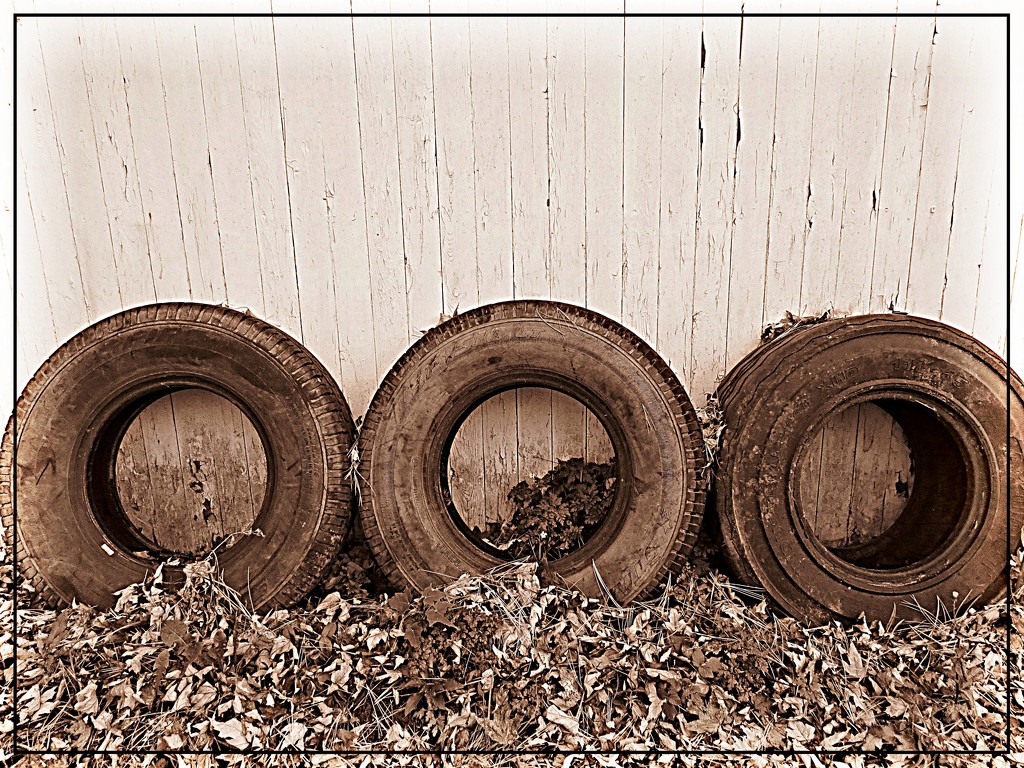 Three Tires by olivetreeann