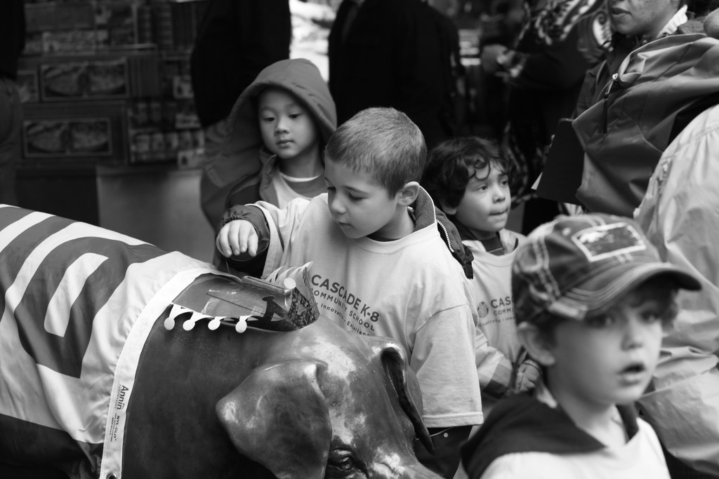 Feeding Rachel The Piggy Bank At The Pike Place Market. by seattle