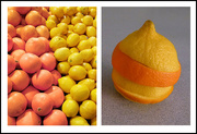 2nd Nov 2014 - Oranges and Lemons