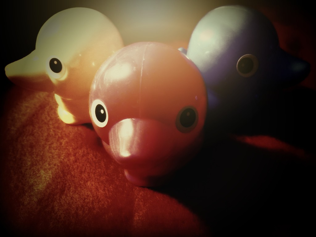 Duckies by alia_801