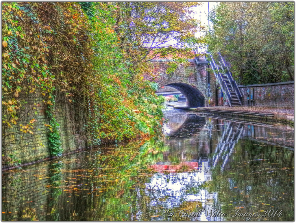 Autumn Reflections On The Birmingham and Worcestershire Canal by carolmw
