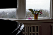 1st Nov 2014 - "Sunshine in Piano-Room Window"
