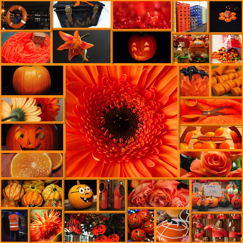Its all orange! by bizziebeeme