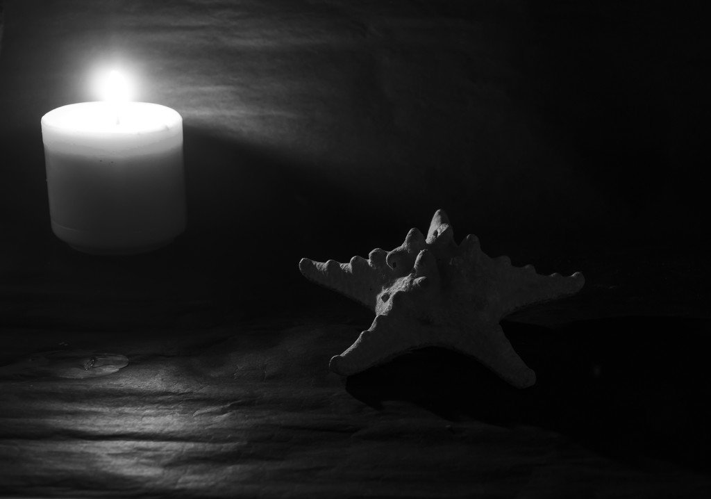 Starfish by Candlelight by salza