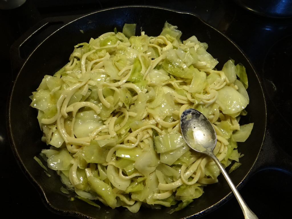 Cabbage And Noodles by brillomick