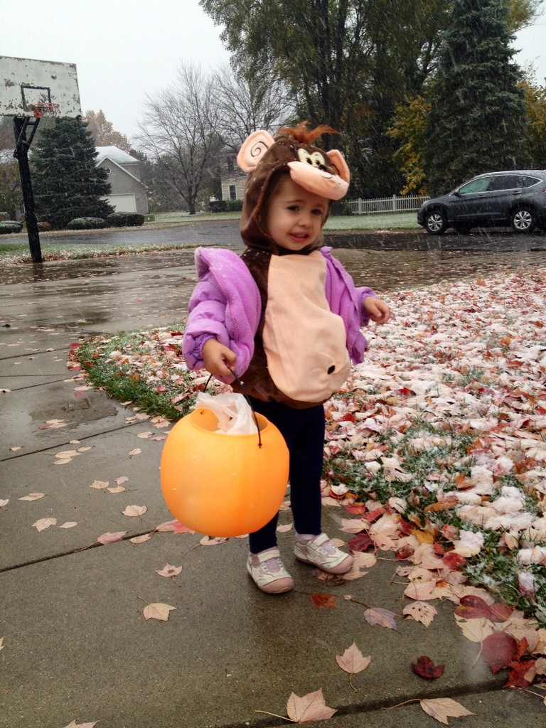 My monkey braving the cold and snow just to get some candy by mdoelger