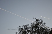 2nd Nov 2014 - Planes race