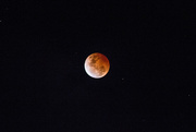 8th Oct 2014 - Blood moon