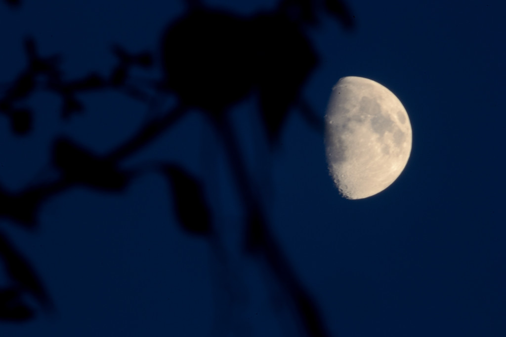 Un-cropped moon by richardcreese