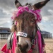 Blackpool Donkey. by gamelee