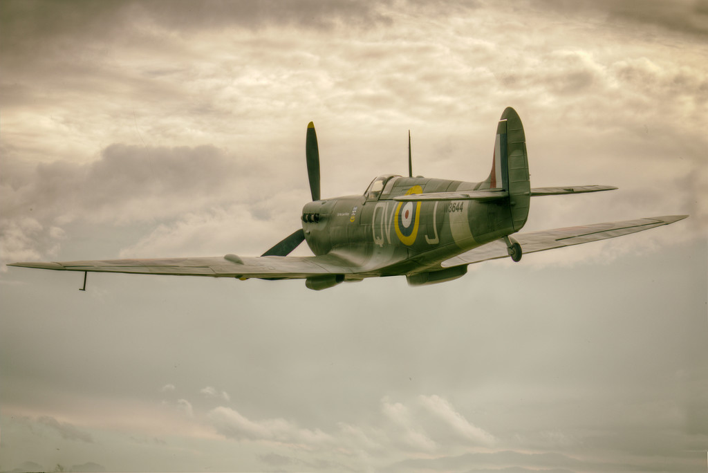 Fairhaven Spitfire. by gamelee
