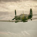 Fairhaven Spitfire. by gamelee