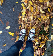 2nd Nov 2014 - Walking on leaves