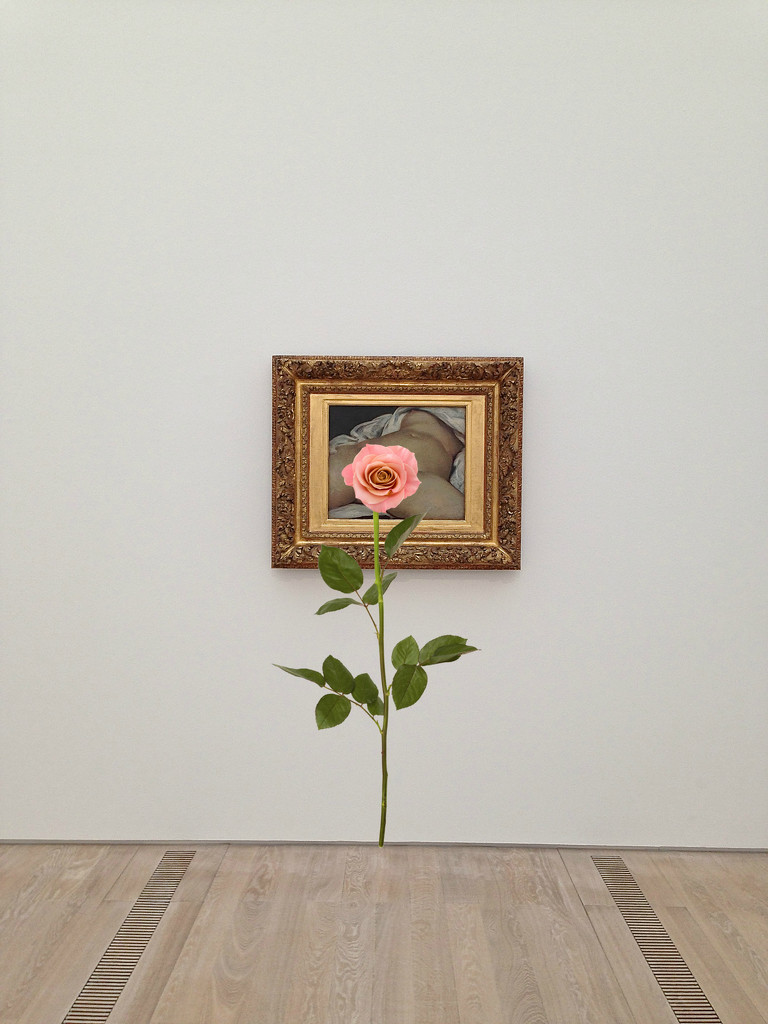 L'origine du monde, Gustave Courbet. Rose version. by cocobella