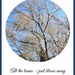 Blue sky and bare branches  by beryl