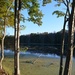 Main pond, Audubon Swamp Garden, Charleston, SC by congaree
