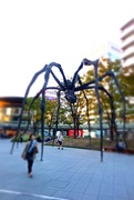 4th Nov 2014 - Beware of the giant spider