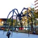Beware of the giant spider by cocobella
