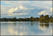 4th Nov 2014 - The main lake Priory Country Park