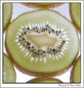 4th Nov 2014 - Kiwi Fruit