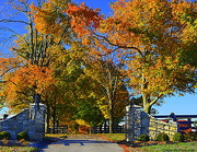 4th Nov 2014 - Colorful entrance