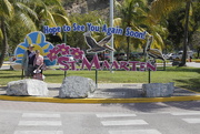 24th Feb 2014 - St Maarten