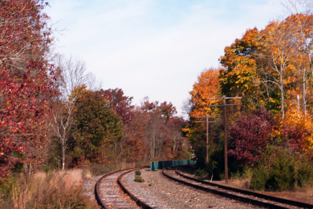Autumn along the Tracks by hjbenson