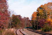 4th Nov 2014 - Autumn along the Tracks