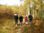 31st Oct 2014 - A family walk in the woods......