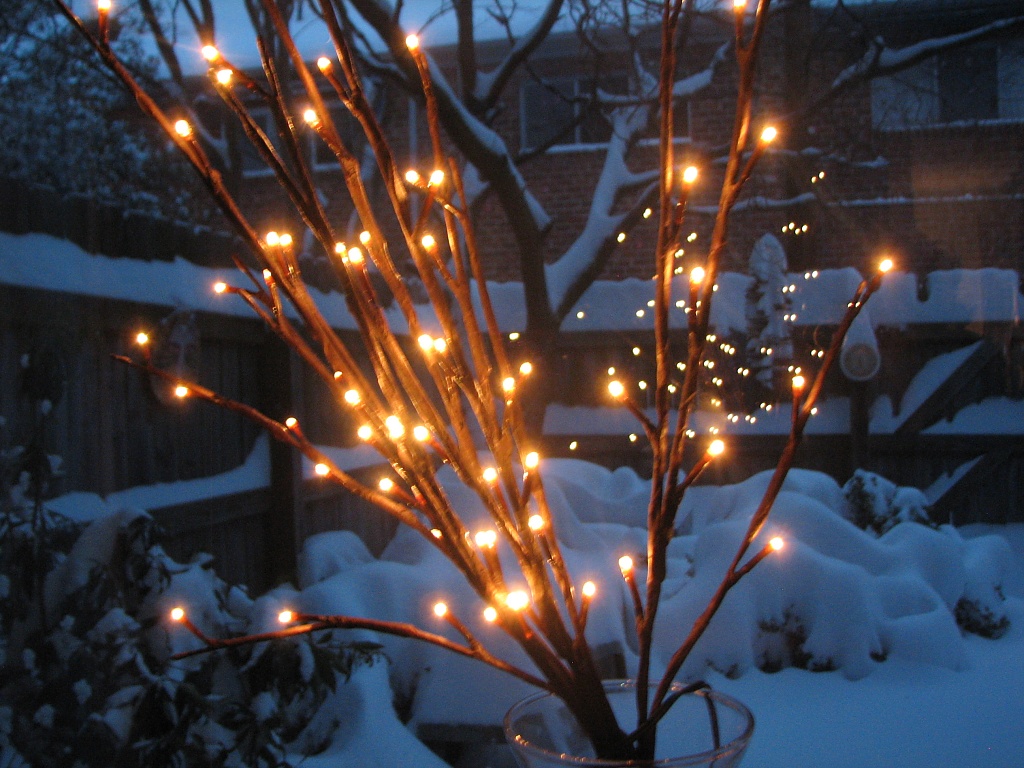 Snow and lights by allie912