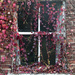 Window Creepers by sjc88