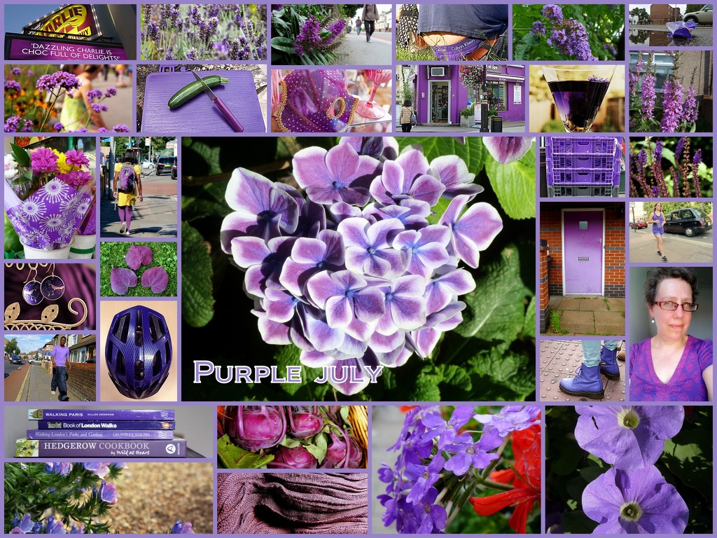 Purple July by boxplayer