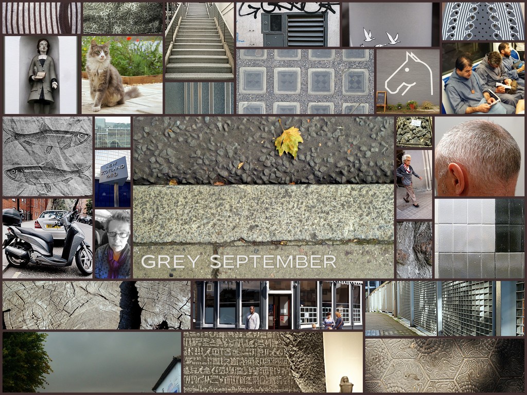 Grey September by boxplayer