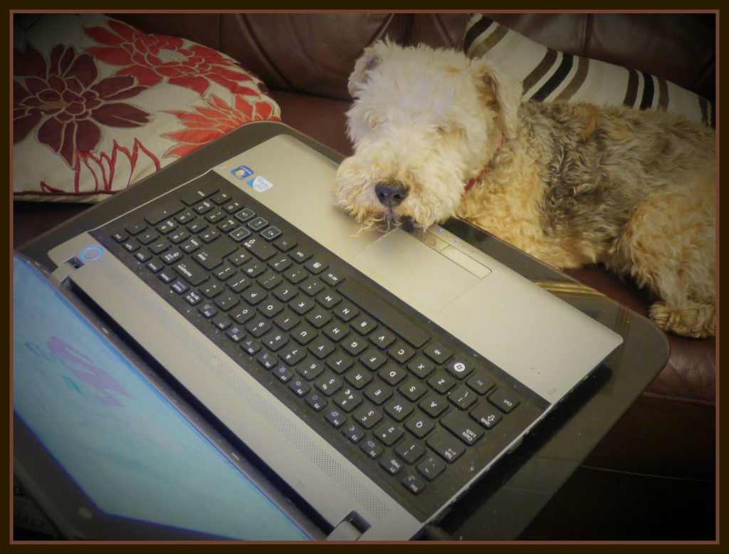 Boring -- all these emails ! by beryl