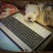 Boring -- all these emails ! by beryl