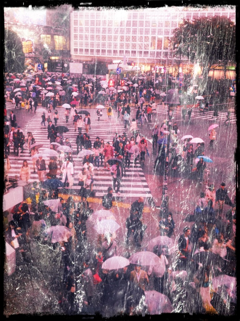 Rain on Shibuya by cocobella
