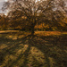 The slow onset of autumn by shepherdman