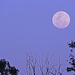 Full Moon Rising by ubobohobo