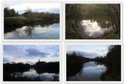 4th Nov 2014 - Reflections at Moor Lakes