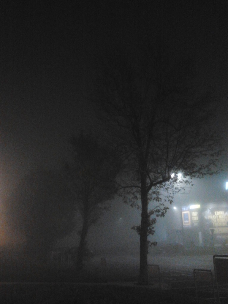 foggy evening 3> by zardz