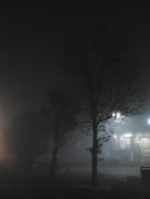 2nd Nov 2014 - foggy evening 3>