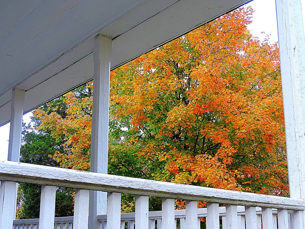 This porch has a great view! by homeschoolmom