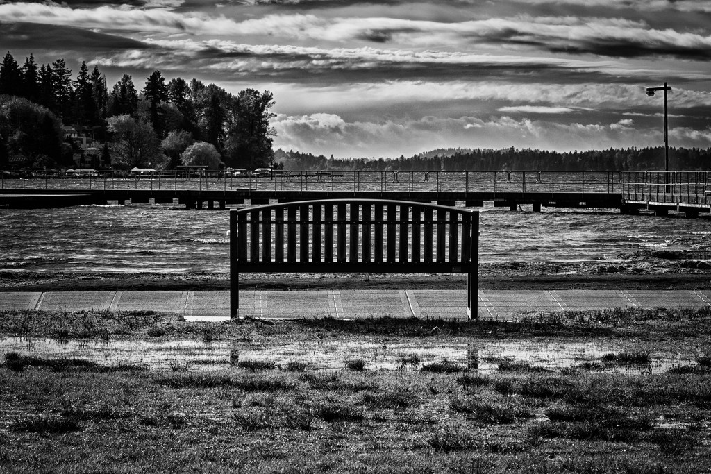 Another view of the Bench by epcello