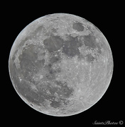 6th Nov 2014 - Moon 11:6:2014