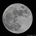 Moon 11:6:2014 by stcyr1up