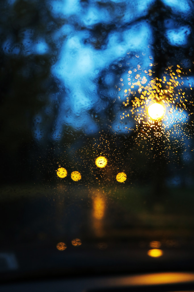 The Windshield on a Rainy Night by april16