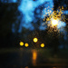 The Windshield on a Rainy Night by april16